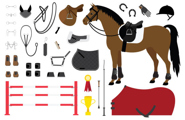 bildbanksillustrationer, clip art samt tecknat material och ikoner med vektor platt tecknad uppsättning ridning ridsport utrustning - hinder häst
