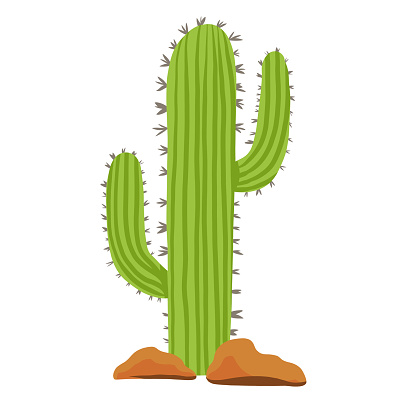 Tecknad Kaktus