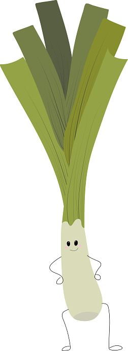 Vector flat illustration of little leek, isolated on white background