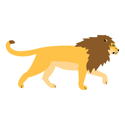 Vector flat lion isolated on white background