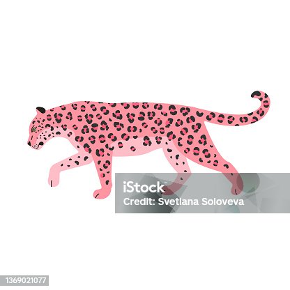 istock Vector flat pink leopard 1369021077