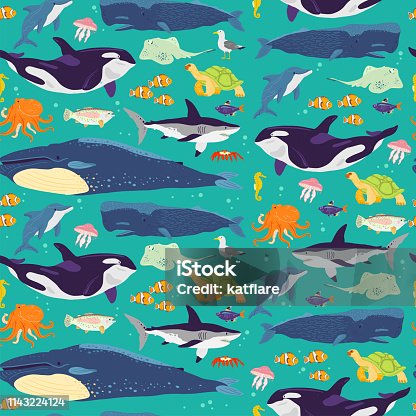 istock Vector flat seamless pattern with hand drawn marine animals, fish,amphibia isolated on blue background. 1143224124