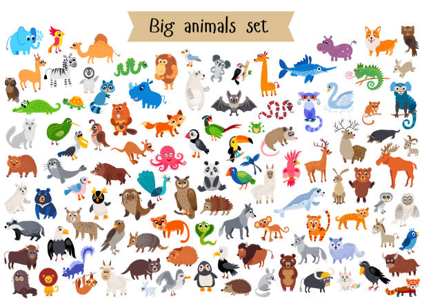 Vector flat style big set of animals isolated Vector flat style big set of animals isolated on white background. Collection of vector cartoon creatures from doffernt continents. Tropical and exotic wild animal character bear animal stock illustrations