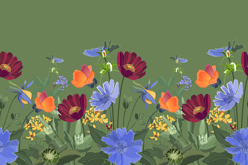 Vector floral seamless border. Summer flowers, green leaves. Chicory, mallow, gaillardia, marigold, oxeye daisy.