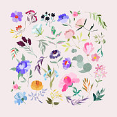 Big LOT set of hand-drawn vector flowers. Floristic elements. Feminine garden design set. A beautiful collection of floral items.