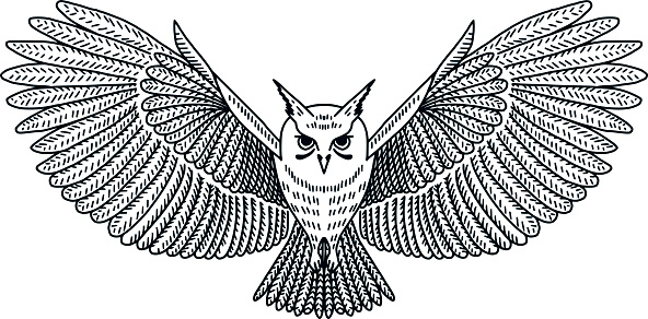 Vector Flying Owl