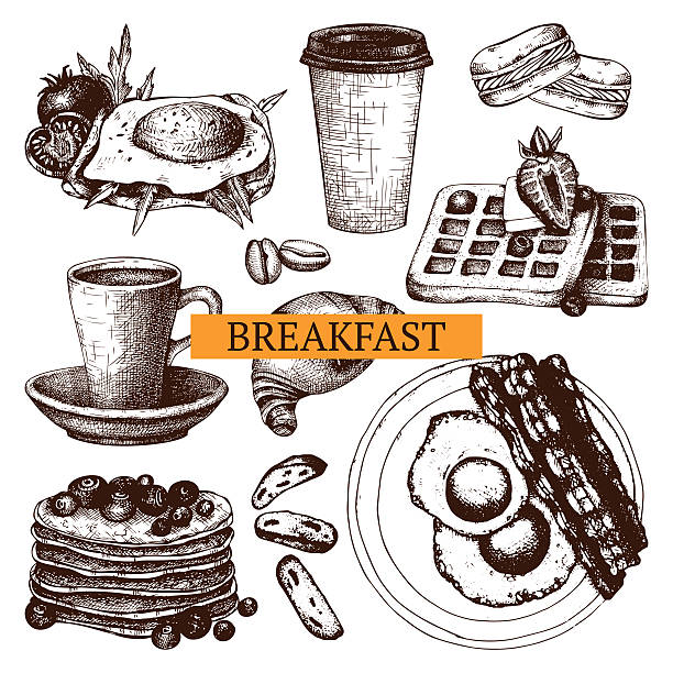 Vector food for breakfast menu. Vector collection different hand drawn food for breakfast menu. Vintage sketch set with food illustration isolated on white. breakfast drawings stock illustrations