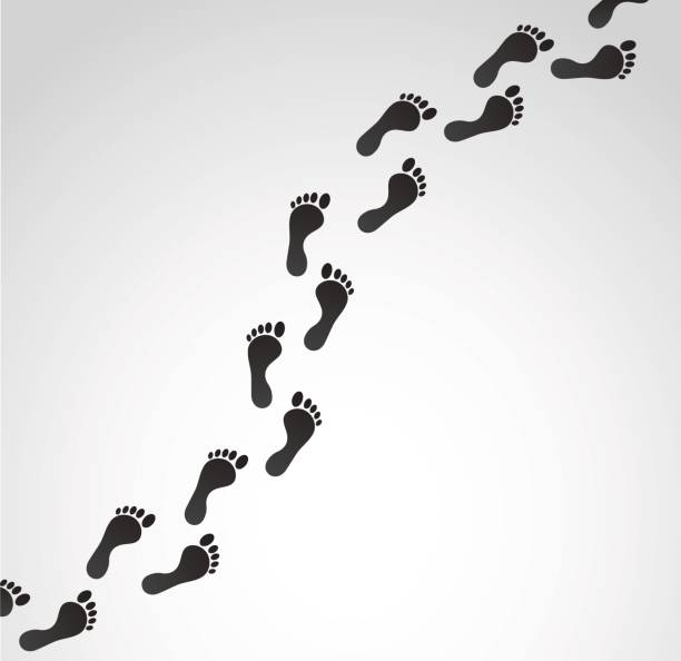 Vector footprints on white background. Footprint illustration. bare feet stock illustrations