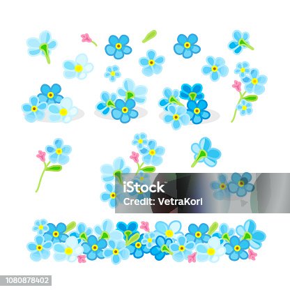 istock vector forget-me-not flowers set 1080878402