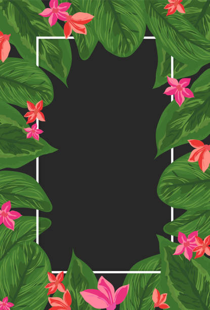 bildbanksillustrationer, clip art samt tecknat material och ikoner med vector frame template with tropical leaves and flowers on black background with place for text. - sweden summer