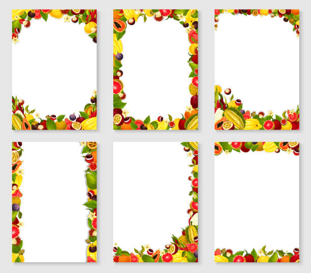 Vector frames set of exotic fresh fruits Frames of exotic and garden fruits harvest of fresh papaya, figs or grapefruit and orange, mango, avocado and tropical pineapple or lichee and mangosteen, maracuya passion fruit. Vector templates set food borders stock illustrations