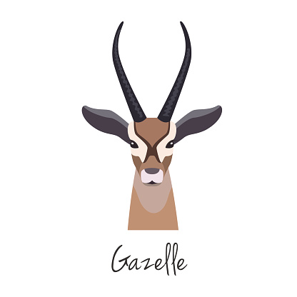 Vector gazelle head isolated. Flat style, cartoon object