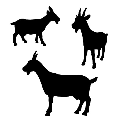 Download Vector Goat Silhouette Isolated On White Stock ...