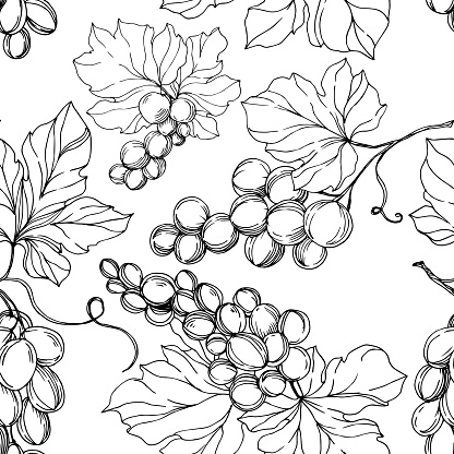 Vector Grape berry healthy food. Black and white engraved ink art. Seamless background pattern.