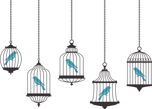 Vector graphics of birds in hanging cages