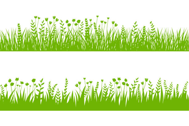 vektor grünes gras: natrion, bio, bio, öko-label und form auf weißem hintergrund. nahtlose bürste, muster - brushed eco vector stock-grafiken, -clipart, -cartoons und -symbole