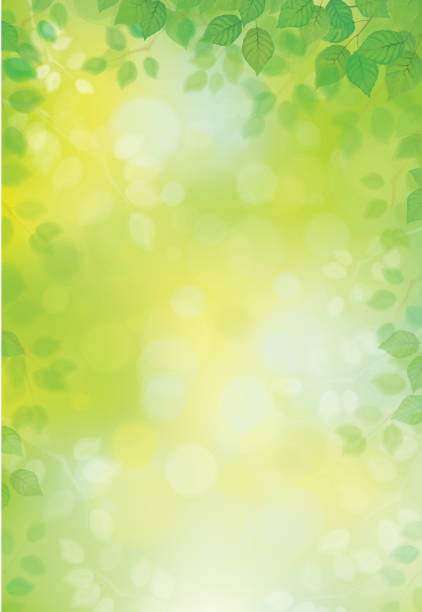 вектор зеленые листья фон. - весна stock illustrations