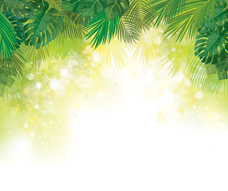 Vector green, tropical leaves background. Exotic leaves summer background.