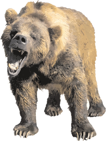Vector Grizzly Bear