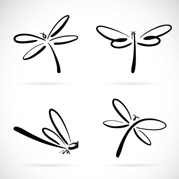 Vector group of dragonfly sketch. Vector group of dragonfly sketch on white background dragonfly stock illustrations