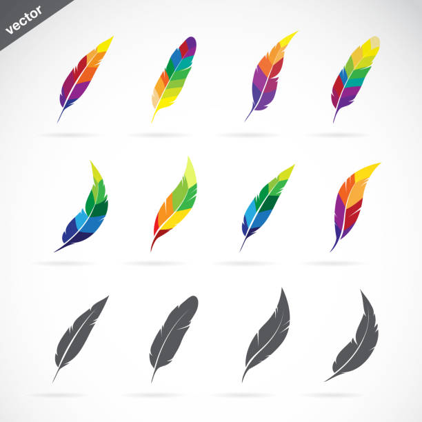 Vector group of feathers icon design on white background. Easy editable layered vector illustration. Vector group of feathers icon design on white background. Easy editable layered vector illustration. feather stock illustrations