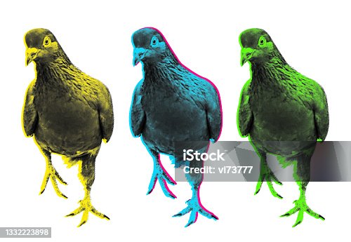 istock Vector halftone curious pigeon illustration. Contemporary art concept. 1332223898