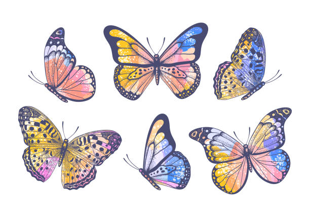 ilustraciones, imágenes clip art, dibujos animados e iconos de stock de vector dibujado a mano colorido conjunto con mariposas de acuarela pastel sobre fondo blanco - mariposa monarca