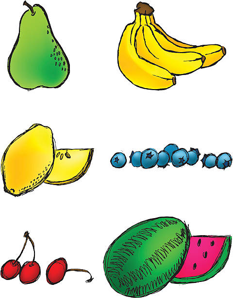 Vector - Hand Drawn Fruit vector art illustration