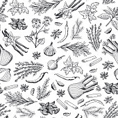 Vector hand drawn herbs and spices background or pattern illustration. Spice ingredient pattern, aroma herbal natural drawing