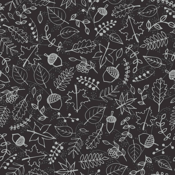 Vector hand drawn pattern with autumn elements contours: foliage, berries and acorns on the dark gray background. Maple, sycamore, birch, beech and oak tree leaves. Chalkboard imitation. Vector hand drawn pattern with autumn elements contours: foliage, berries and acorns on the dark gray background. Maple, sycamore, birch, beech and oak tree leaves. Chalkboard imitation. autumn patterns stock illustrations
