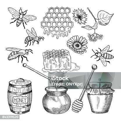 https tr vectorhq com vector bee honey honeycomb vector 28690