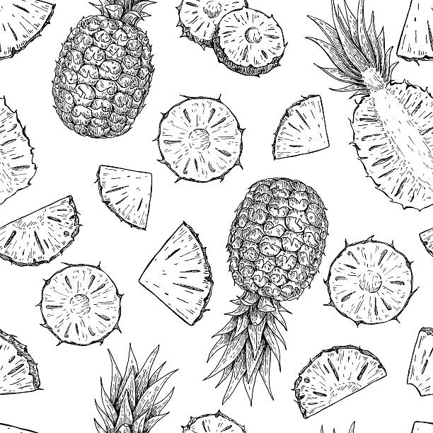 Vector hand drawn pineapple seamless pattern. Vector hand drawn pineapple seamless pattern. Tropical summer fruit engraved style illustration. Detailed food drawing. Great for summer decor pineapple stock illustrations