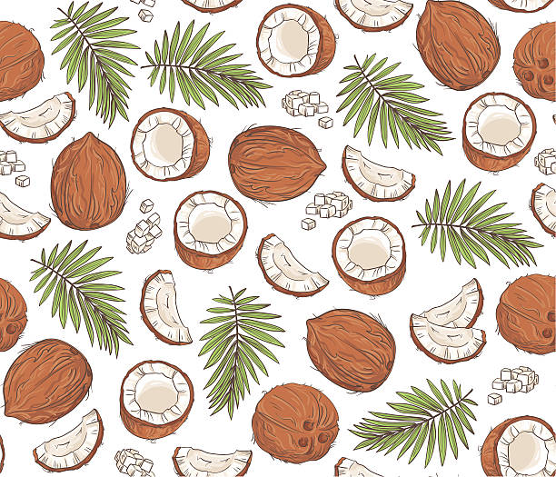 ilustrações, clipart, desenhos animados e ícones de vetor desenhado à mão padrão perfeito com coco tropical e folhas. - coconut
