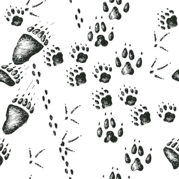 Vector hand drawn seamless pattern with walking wild wood animal and bird tracks Vector hand drawn seamless pattern with walking wild wood animal and bird tracks. Sketchy style university of michigan stock illustrations