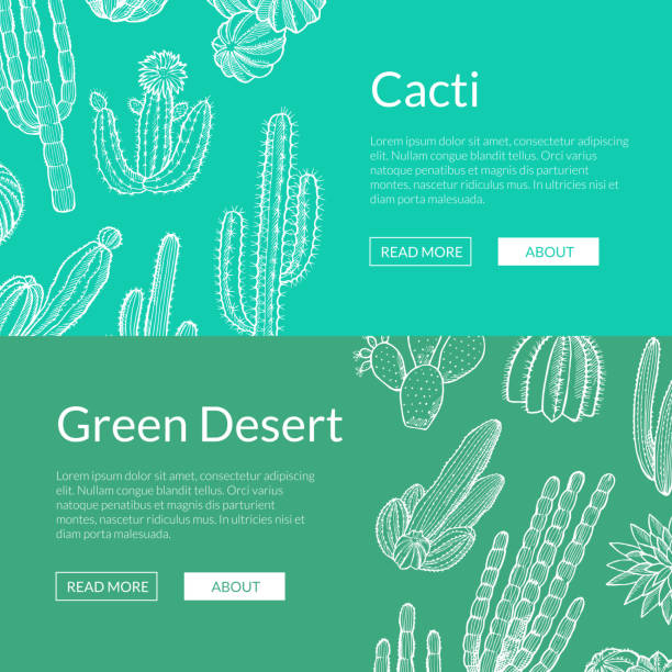 Vector hand drawn wild cacti plants web banner templates illustration Vector banner and poster hand drawn greeen wild cacti plants web banner templates illustration cactus borders stock illustrations