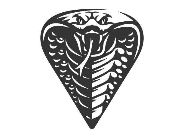 Vector head of a snake, king cobra  illustration, print, emblem design on a white background. Vector head of a snake, king cobra  illustration, print, emblem design on a white background. snake head stock illustrations