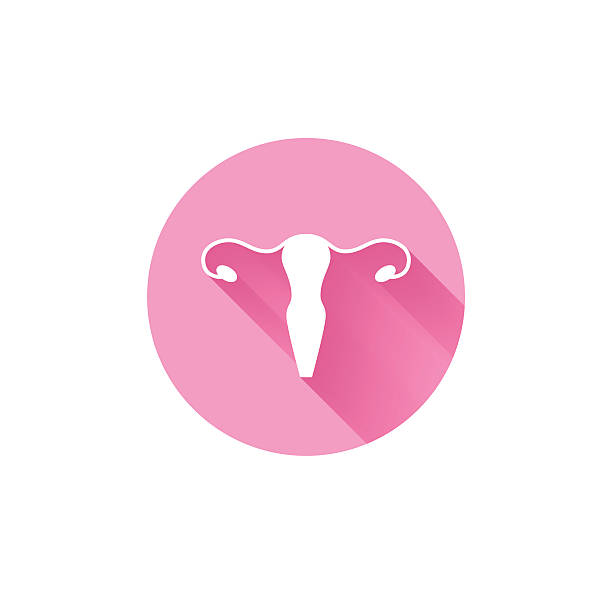 vector healthy uterus simple icon - ovaries stock illustrations, clip art, ...
