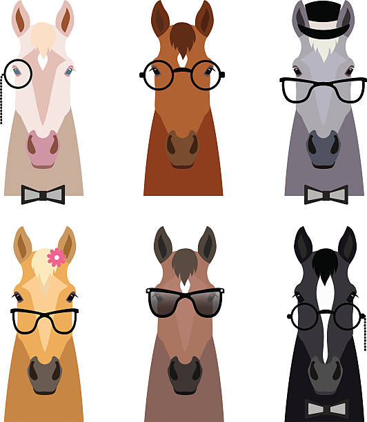 Vector hipster horse head in glasses ,bow. Flat cartoon style Vector hipster horse heads in glasses, bow and hat collection isolated b. Flat cartoon style. Horses of different breeds and colors. Funny face horses. Poster banner print advertisement design element horse clipart stock illustrations