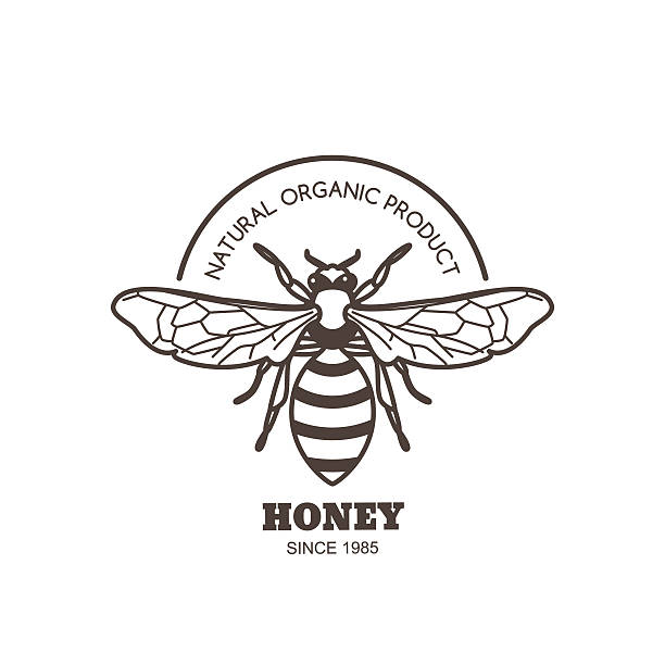 Best Honey Bee Illustrations, Royalty-Free Vector Graphics & Clip Art