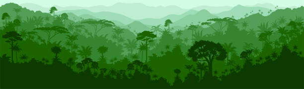 illustrazioni stock, clip art, cartoni animati e icone di tendenza di sfondo della giungla della foresta pluviale tropicale orizzontale vettoriale senza soluzione di continuità - camerun