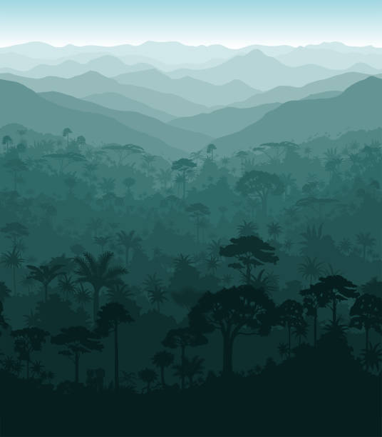 ilustrações, clipart, desenhos animados e ícones de vector horizontal sem costura fundo de floresta tropical na selva - amazonia