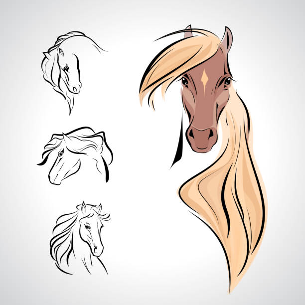 Vector Horse Head Logo, set sign symbol icon Horse, sketch tattoo illustration, wallpaper background.  royalty free commercial use drawing stock illustrations