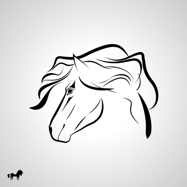 Vector Horse Head Logo, sign symbol icon Horse, sketch tattoo illustration, wallpaper background.  royalty free commercial use drawing stock illustrations