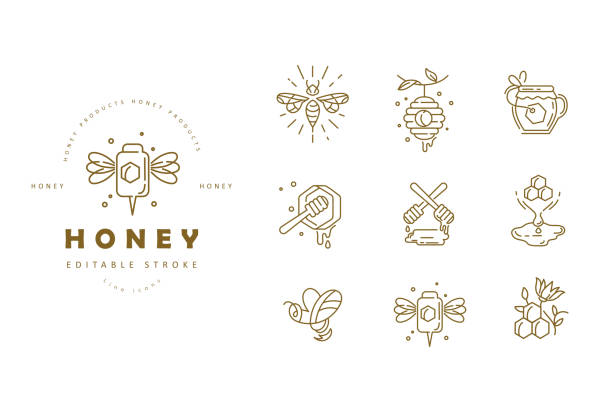 Vector icon and logo honey. Editable outline stroke size Vector icon and logo honey. Editable outline stroke size. Line flat contour, thin and linear design. Simple icons. Concept illustration. Sign, symbol, element. honey stock illustrations