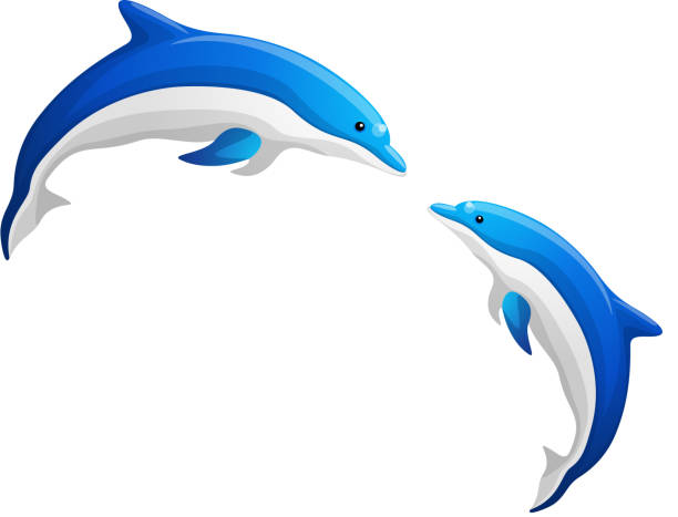 vector icon dolphin vector icon dolphin dolphin stock illustrations