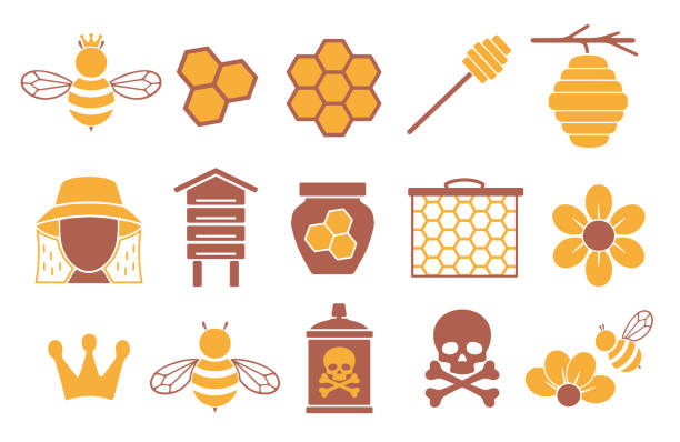 Vector icon set for creating infographics related to bees, pollination and beekeeping like honey jar, flower and honeycomb icon set beehive stock illustrations