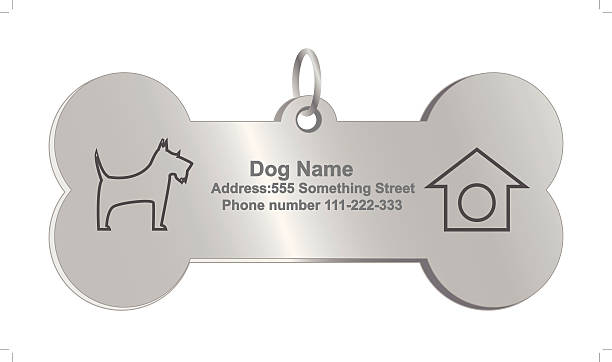 Vector identity tags for dog Vector identity tags for dog, eps10, gradient. pet collar stock illustrations