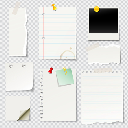 Vector illustrated blank notes and papers