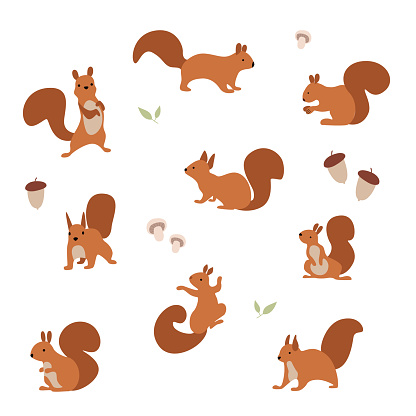 Vector illustration. A set of cheerful squirrels who eat nuts and walk.