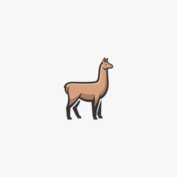 bildbanksillustrationer, clip art samt tecknat material och ikoner med vektor illustration alpacas elegant enkel maskot. - däggdjur
